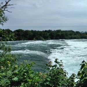 Meet your Posher, Vincenza